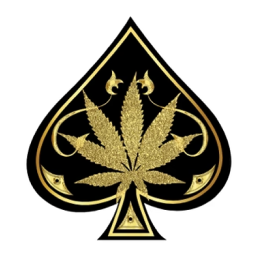 Ace Ultra Premium